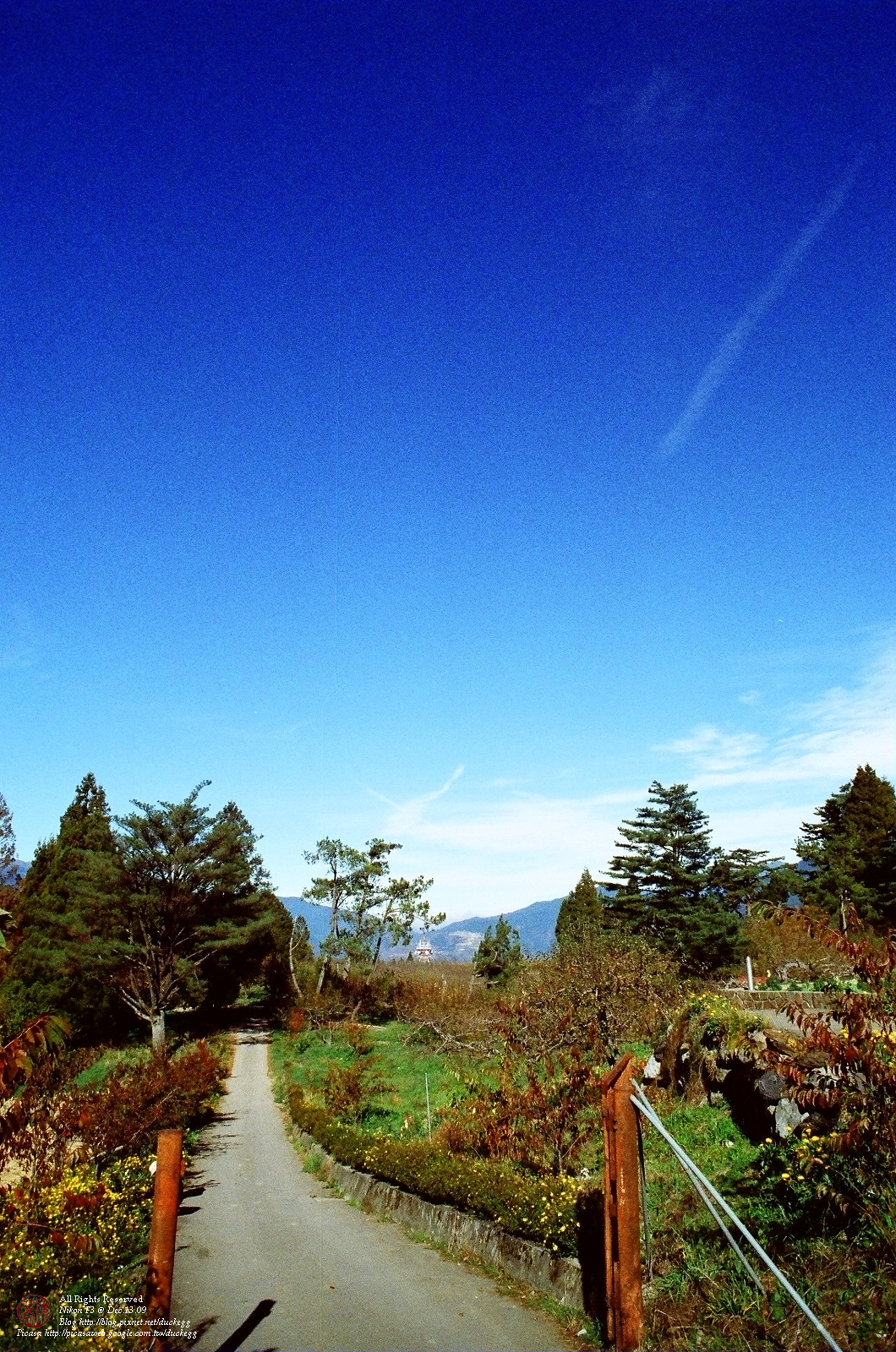 23820036.jpg